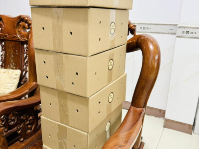Đóng hàng  gửi cho khách