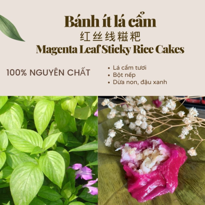 Bánh ít lá cẩm